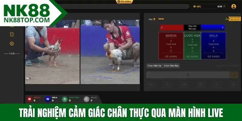 Trải nghiệm cảm giác chân thực qua màn hình live trực tuyến